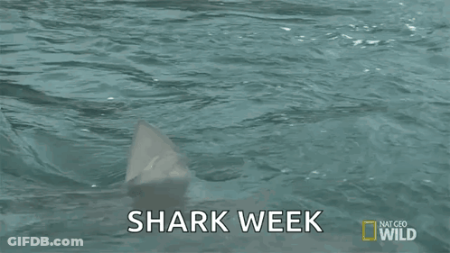 A Shark Is Swimming In The Ocean With The Words Shark Week Written On The Bottom GIF