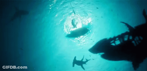 A Shark Is Swimming Near A Person On A Surfboard In The Ocean . GIF