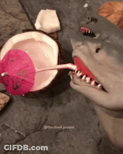 A Shark Puppet Drinks From A Coconut With A Pink Umbrella GIF