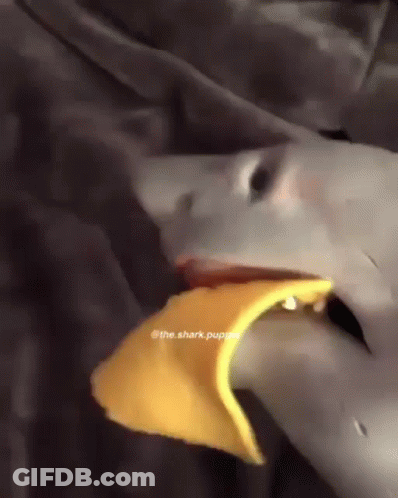 A Shark Puppet Is Eating A Piece Of Food GIF