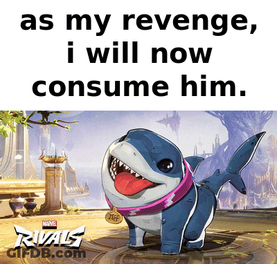 A Shark With A Pink Collar And A Tag That Says Jeff GIF