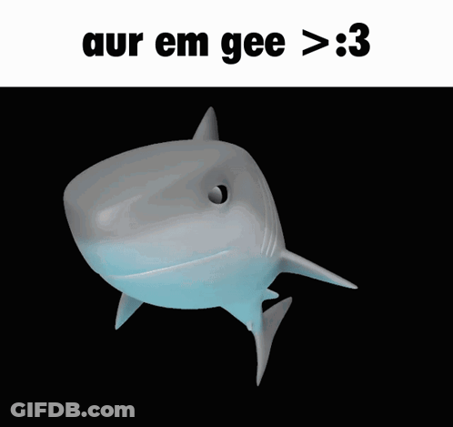 A Shark With Its Mouth Open And The Words Aur Em Gee > : 3 Below It GIF