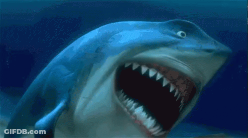 A Shark With Its Mouth Open Is Swimming In The Water GIF