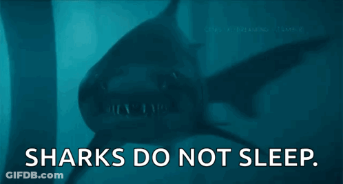 A Shark With The Words Sharks Do Not Sleep Below It GIF