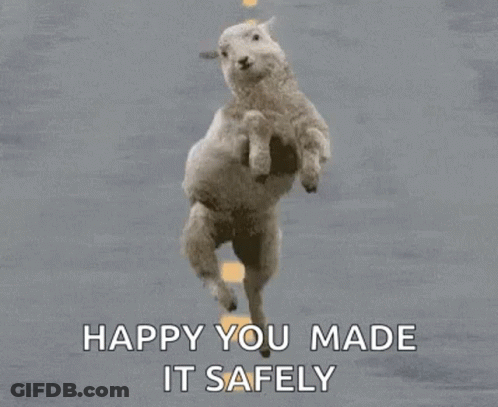 A Sheep Is Jumping Over A Road With The Words `` Happy You Made It Safely '' Written Below It . GIF