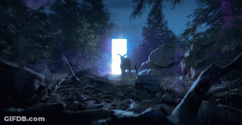 A Sheep Is Standing In Front Of A Door In The Woods GIF