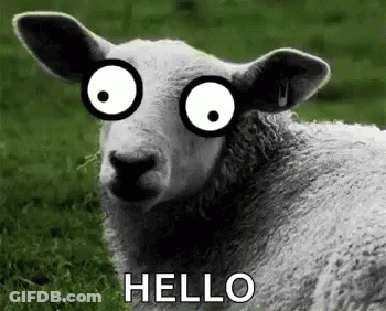 A Sheep With Glasses On Its Eyes Is Laying In The Grass And Saying Hello . GIF