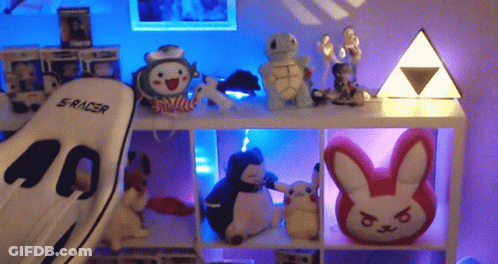 A Shelf With Stuffed Animals And A Sracer Chair GIF