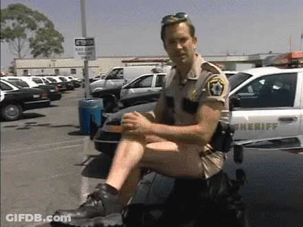 A Sheriff Sitting On The Back Of A Police Car GIF