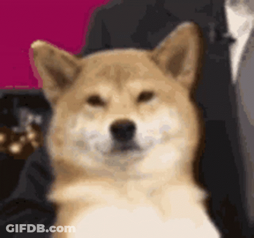 A Shiba Inu Dog Is Sitting Next To A Man In A Suit And Smiling . GIF