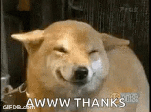 A Shiba Inu Dog Is Smiling With Its Eyes Closed And The Words `` Awww Thanks '' Written Next To It . GIF