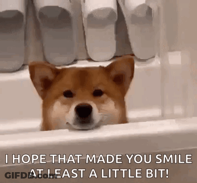 A Shiba Inu Dog Is Sticking Its Head Out Of A Bathtub And Smiling . GIF