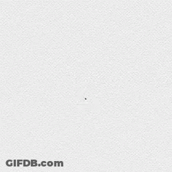 A Shield With A Lion And The Word England On It GIF