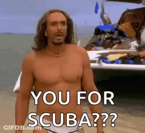 A Shirtless Man In A Bathing Suit Is Standing On A Beach And Says `` You For Scuba '' . GIF