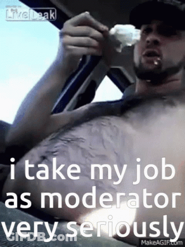 A Shirtless Man In A Car Says " I Take My Job As Moderator Very Seriously " GIF