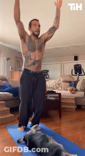 A Shirtless Man Is Doing Yoga In A Living Room With A Dog Laying On A Blue Mat GIF