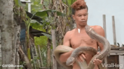 A Shirtless Man Is Holding Two Snakes In His Hands And The Words Viralhog Are Visible In The Corner GIF
