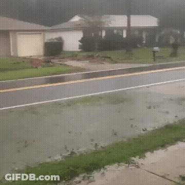 A Shirtless Man Is Running Down A Road Holding An American Flag GIF