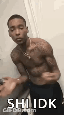 A Shirtless Man Is Standing In A Bathroom With His Arms Outstretched And A Necklace Around His Neck . GIF