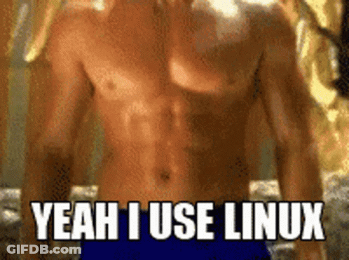 A Shirtless Man Is Standing In Front Of A Mirror And Says Yeah I Use Linux GIF