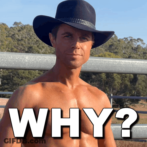 A Shirtless Man Wearing A Cowboy Hat With The Words Why Written Below Him GIF
