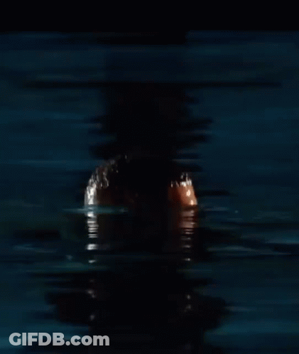 A Shirtless Man With A Beard Is Swimming In A Pool . GIF