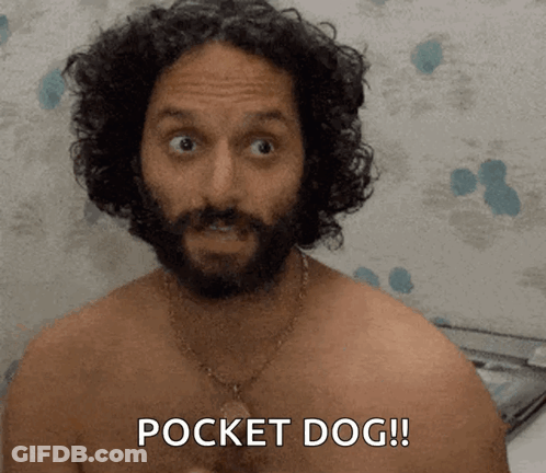 A Shirtless Man With Curly Hair And A Beard Says " Pocket Dog " GIF