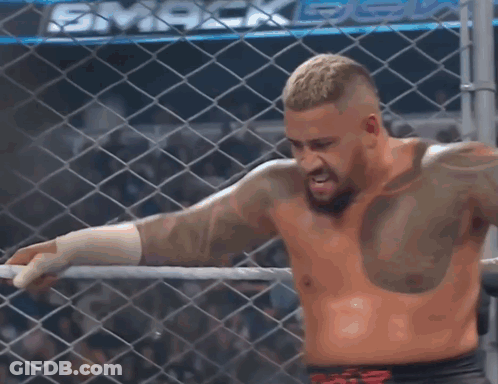 A Shirtless Wrestler In A Cage With The Word Smack On The Back GIF