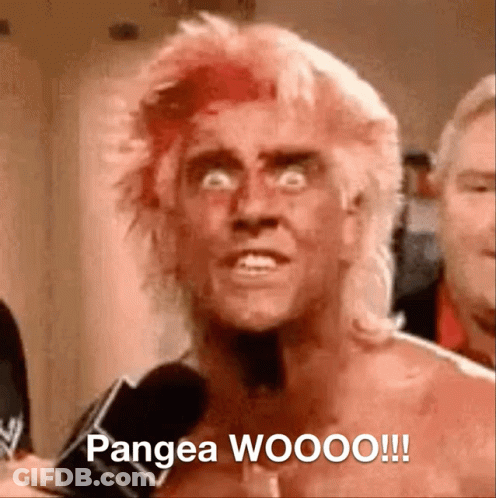 A Shirtless Wrestler Is Talking Into A Microphone And Says Pangea Wooo !!! GIF