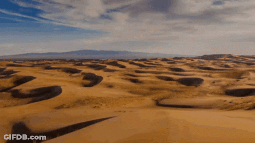 A Show In The Desert GIF
