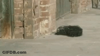 A Sidewalk With A Brick Wall And A Few Cars Parked On It GIF
