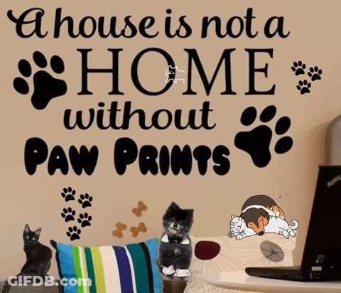 A Sign On A Wall Says A House Is Not A Home Without Paw Prints GIF