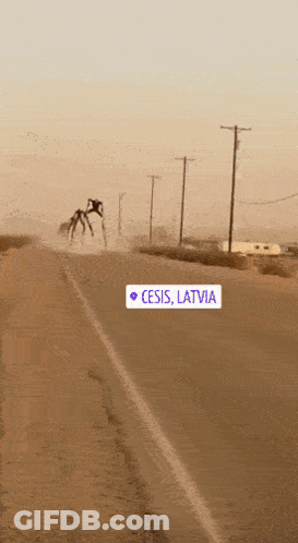 A Sign On The Side Of A Road That Says ' Cesis Latvia ' GIF