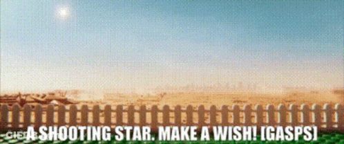 A Sign That Says A Shooting Star Make A Wish I Gasps GIF