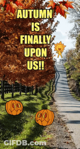 A Sign That Says Autumn Is Finally Upon Us On It GIF