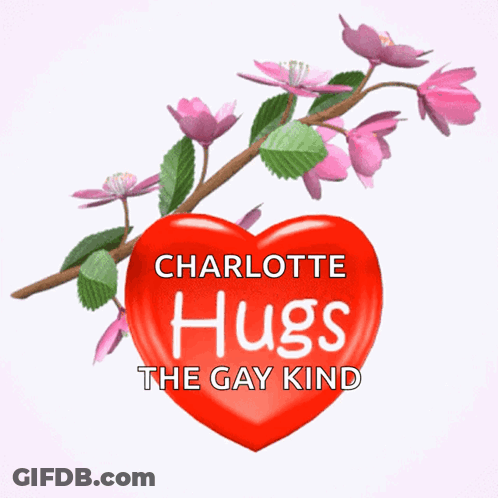 A Sign That Says Charlotte Hugs The Gay Kind GIF
