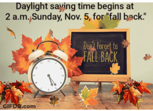 A Sign That Says " Daylight Saving Time Begins At 2 A.m. Sunday Nov 5 For Fall Back " GIF