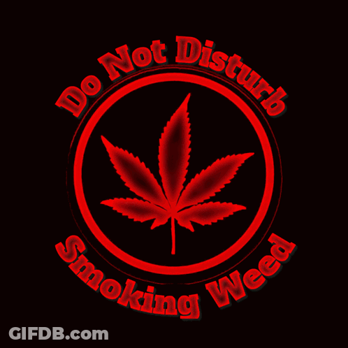A Sign That Says Do Not Disturb Cannabis Smoking Weed GIF