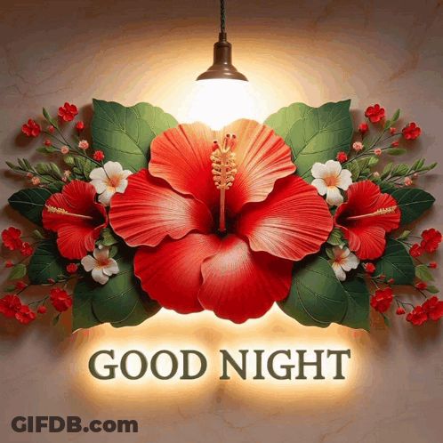A Sign That Says Good Night With Flowers And Leaves On It GIF