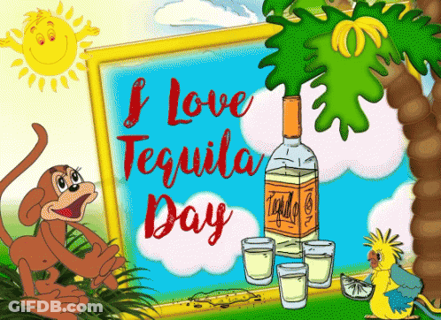 A Sign That Says I Love Tequila Day Next To A Monkey GIF
