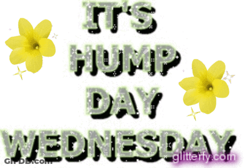 A Sign That Says ' It 'S Hump Day Wednesday ' On It GIF