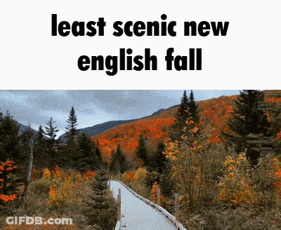 A Sign That Says Least Scenic New English Fall With A Picture Of A Forest GIF
