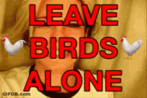 A Sign That Says Leave Birds Alone With Chickens GIF