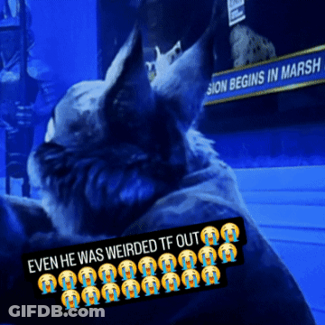 A Sign That Says Sion Begins In Marsh Behind A Dog GIF