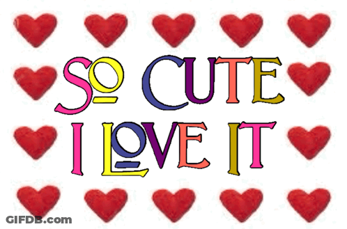 A Sign That Says So Cute I Love It With Red Hearts Around It GIF