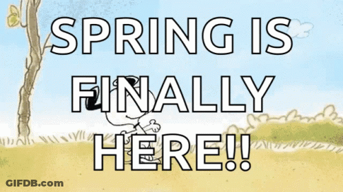 A Sign That Says Spring Is Finally Here With Snoopy On It GIF