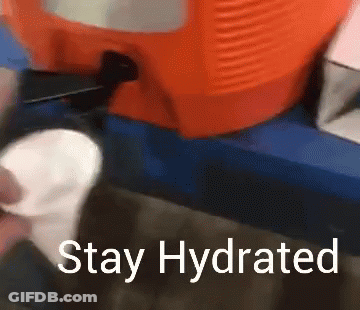 A Sign That Says Stay Hydrated Next To A Cooler GIF