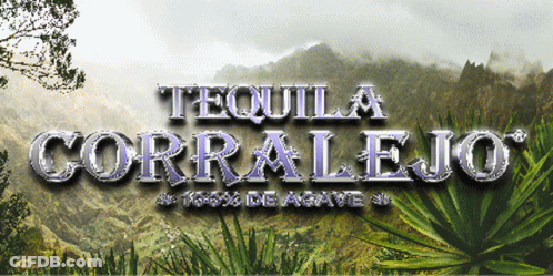 A Sign That Says Tequila Corralejo With A Mountain In The Background GIF