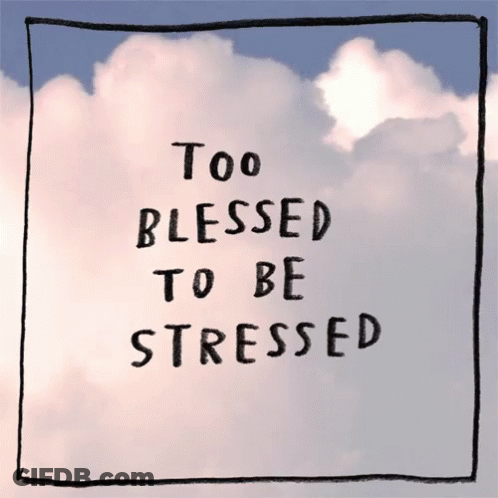 A Sign That Says Too Blessed To Be Stressed On It GIF