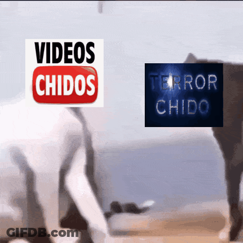 Sign Saying Videos Chidos Next To Horse GIF